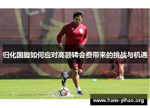 归化国脚如何应对高额转会费带来的挑战与机遇