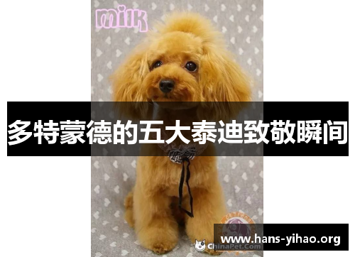 多特蒙德的五大泰迪致敬瞬间