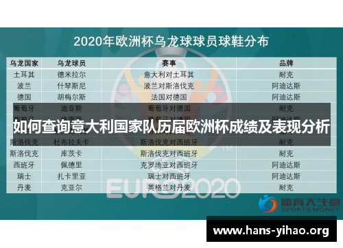 如何查询意大利国家队历届欧洲杯成绩及表现分析